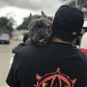 Meet your Posher, Eddie